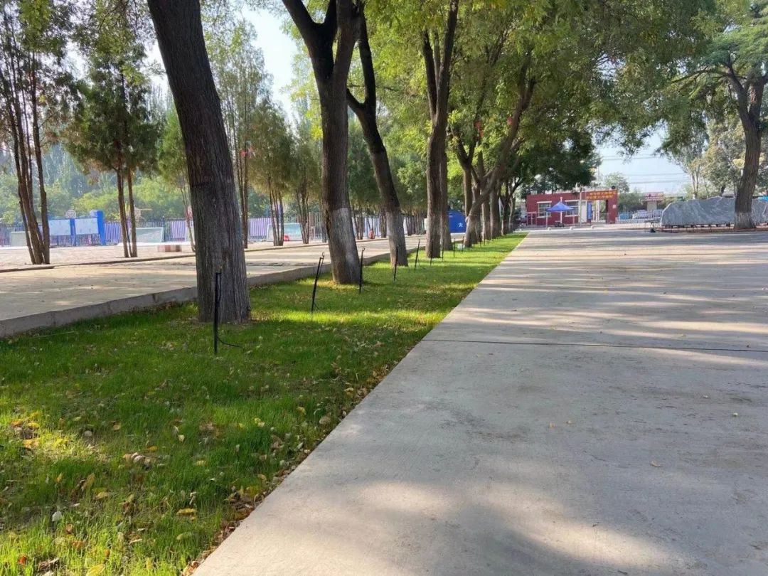 1638608276862610.jpg 图片关键词