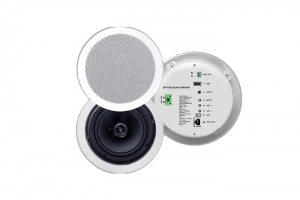 ZH-VB110 IP天花喇叭