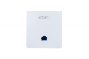 ZH-AP300P 单频面板AP